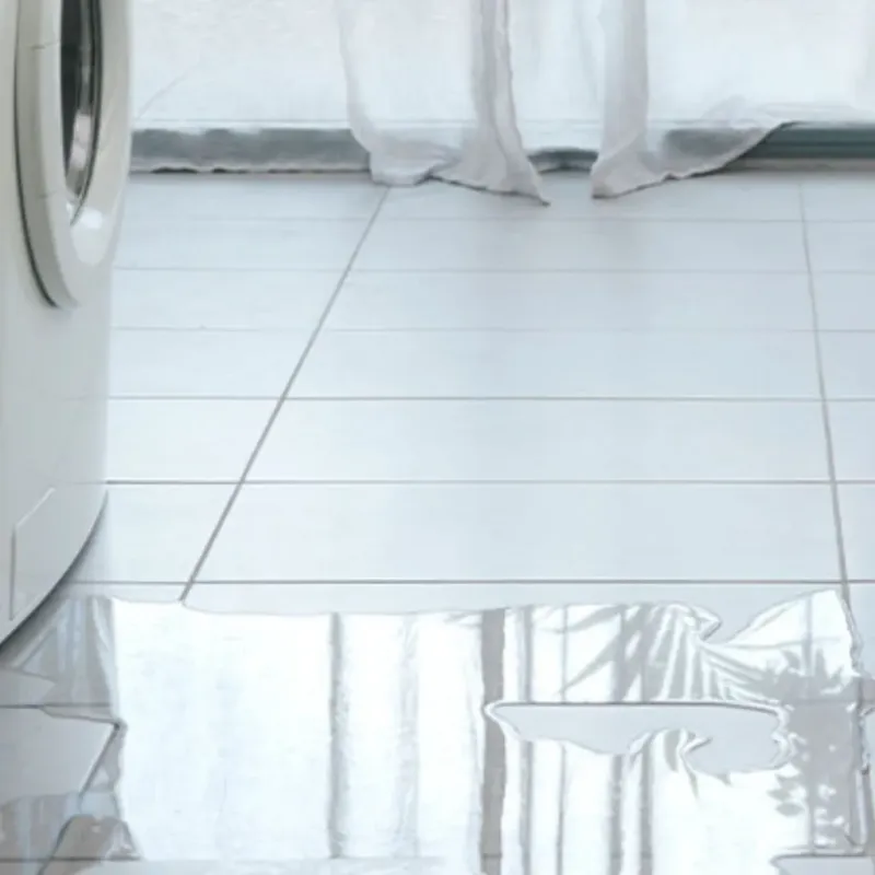 Appliance Leak Cleanup in North Sea, NY
