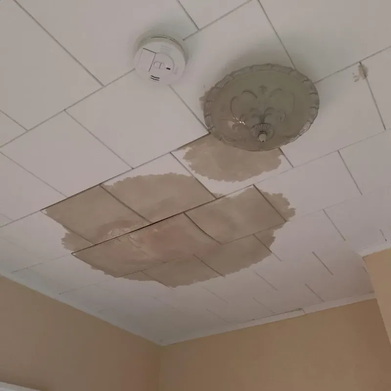 Ceiling Water Damage Repair in North Sea, NY