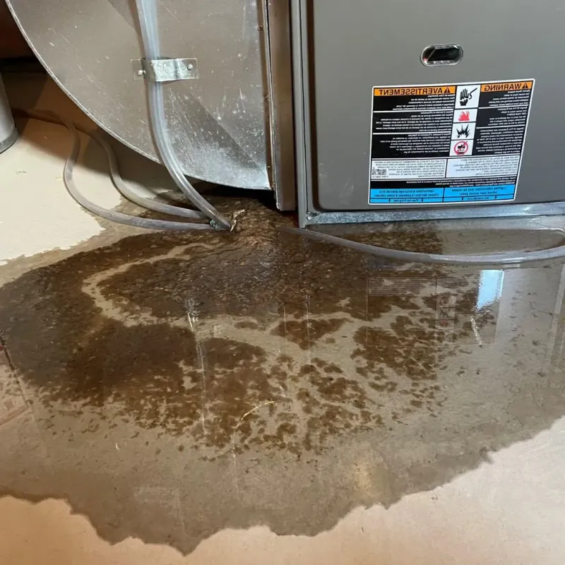 Pipe Burst and Leak Restoration in North Sea, NY
